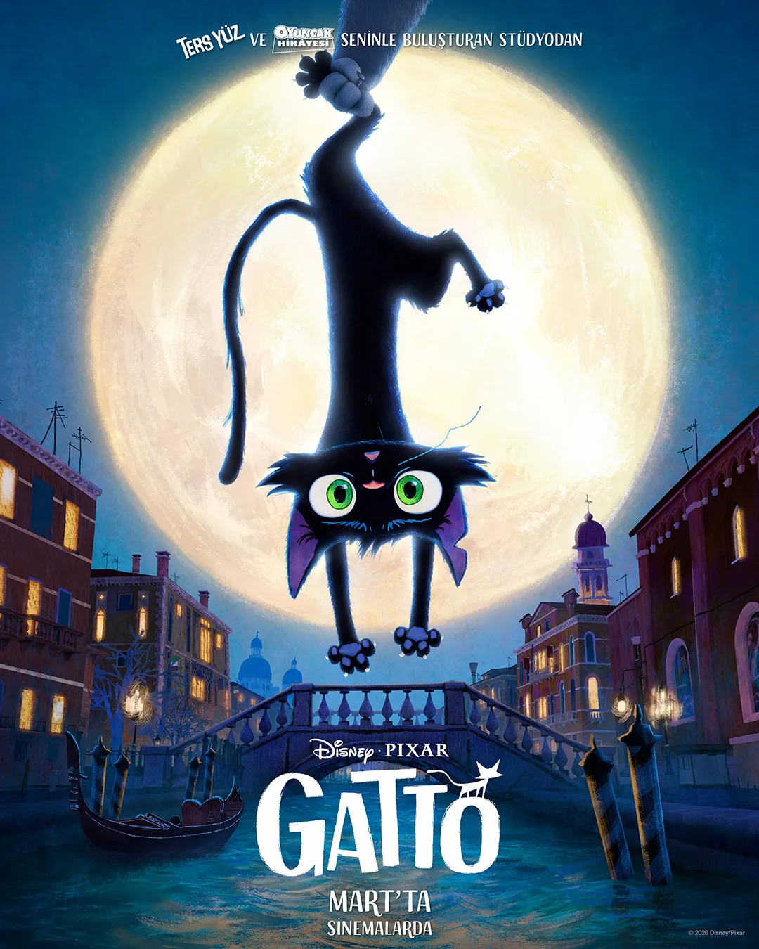 Gatto Animasyon Filmi geliyor